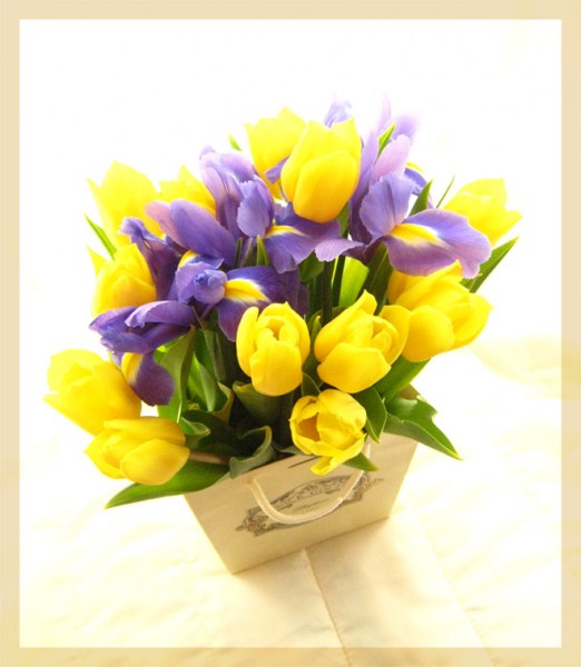 101bb1f78e5ce558ed0b991efcb52087_p.jpg